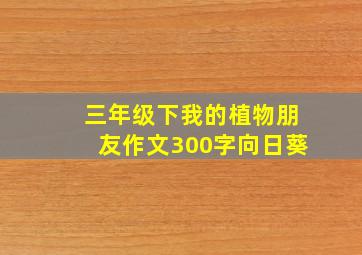 三年级下我的植物朋友作文300字向日葵