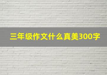 三年级作文什么真美300字