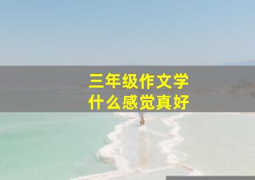 三年级作文学什么感觉真好