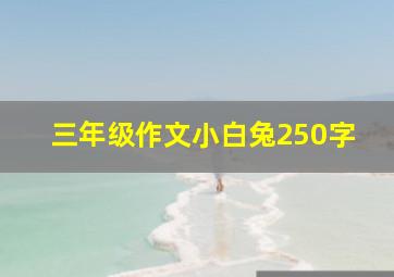 三年级作文小白兔250字