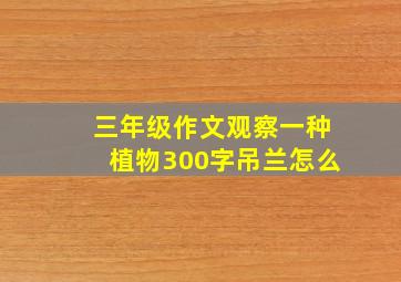 三年级作文观察一种植物300字吊兰怎么