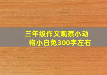 三年级作文观察小动物小白兔300字左右