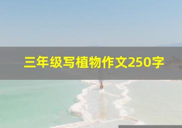 三年级写植物作文250字