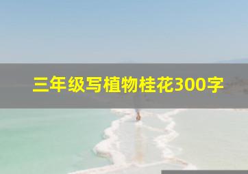 三年级写植物桂花300字