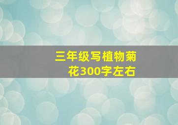 三年级写植物菊花300字左右