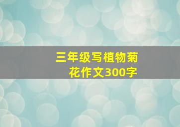 三年级写植物菊花作文300字