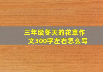 三年级冬天的花草作文300字左右怎么写