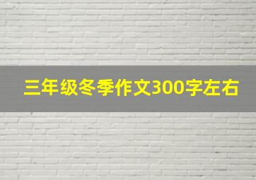 三年级冬季作文300字左右