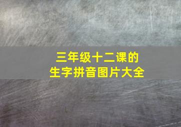 三年级十二课的生字拼音图片大全