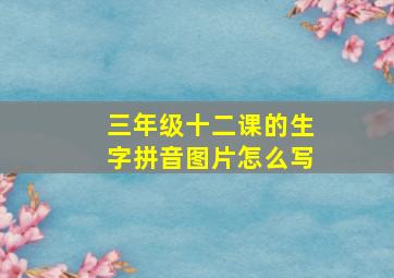 三年级十二课的生字拼音图片怎么写