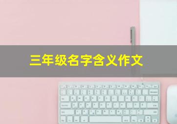 三年级名字含义作文