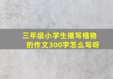 三年级小学生描写植物的作文300字怎么写呀