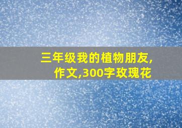 三年级我的植物朋友,作文,300字玫瑰花