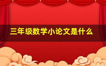 三年级数学小论文是什么