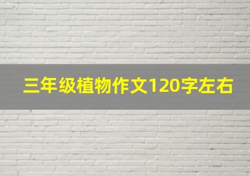 三年级植物作文120字左右