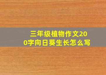 三年级植物作文200字向日葵生长怎么写