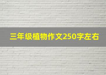 三年级植物作文250字左右