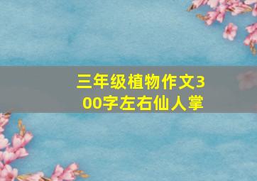 三年级植物作文300字左右仙人掌