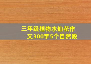 三年级植物水仙花作文300字5个自然段