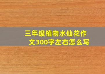 三年级植物水仙花作文300字左右怎么写