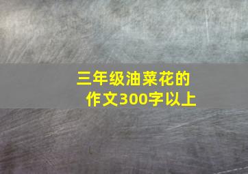 三年级油菜花的作文300字以上