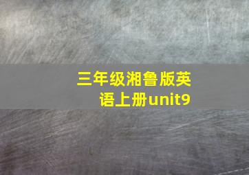 三年级湘鲁版英语上册unit9