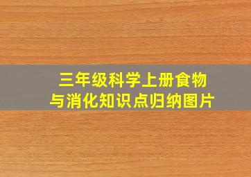 三年级科学上册食物与消化知识点归纳图片