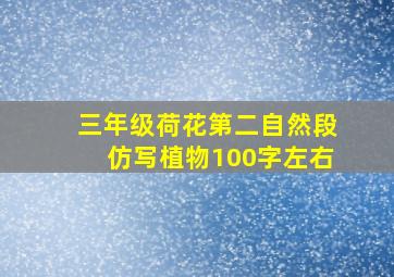 三年级荷花第二自然段仿写植物100字左右