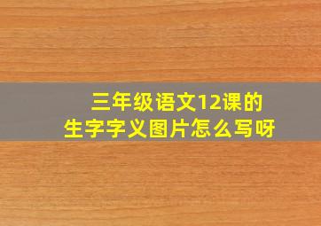 三年级语文12课的生字字义图片怎么写呀