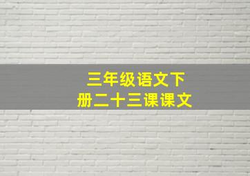 三年级语文下册二十三课课文