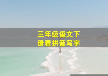 三年级语文下册看拼音写字