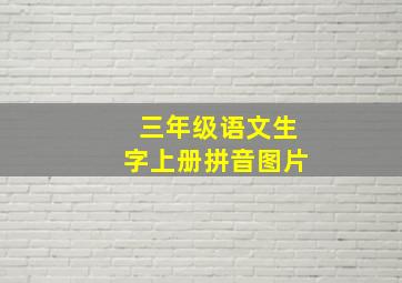 三年级语文生字上册拼音图片