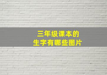 三年级课本的生字有哪些图片