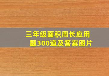 三年级面积周长应用题300道及答案图片