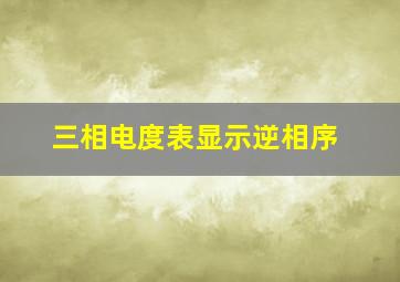 三相电度表显示逆相序