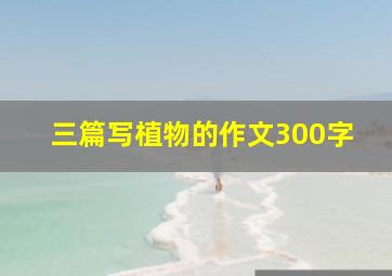 三篇写植物的作文300字