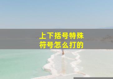 上下括号特殊符号怎么打的