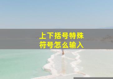 上下括号特殊符号怎么输入