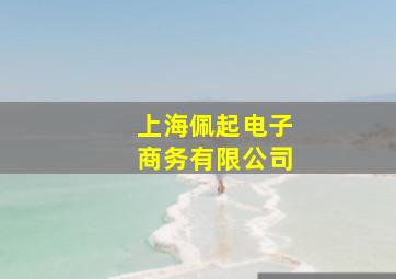 上海佩起电子商务有限公司