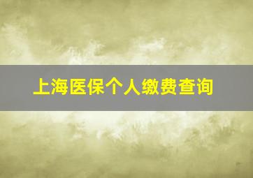 上海医保个人缴费查询