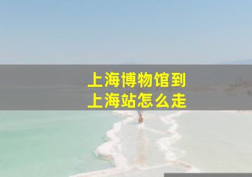 上海博物馆到上海站怎么走