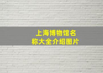 上海博物馆名称大全介绍图片