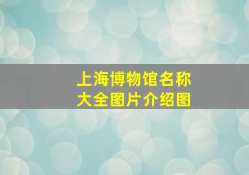 上海博物馆名称大全图片介绍图