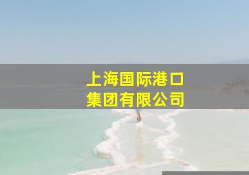 上海国际港口集团有限公司