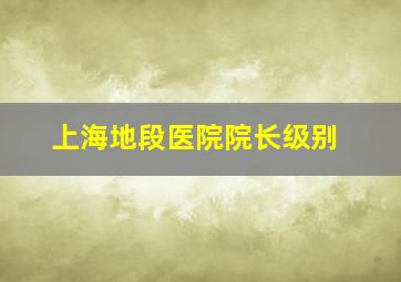 上海地段医院院长级别