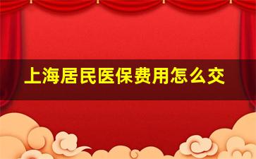 上海居民医保费用怎么交