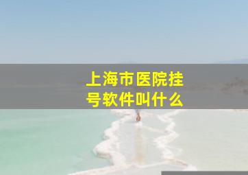 上海市医院挂号软件叫什么