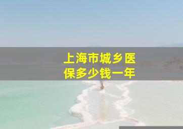 上海市城乡医保多少钱一年