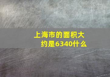 上海市的面积大约是6340什么