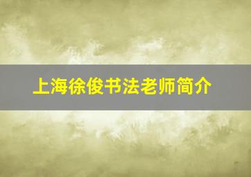 上海徐俊书法老师简介